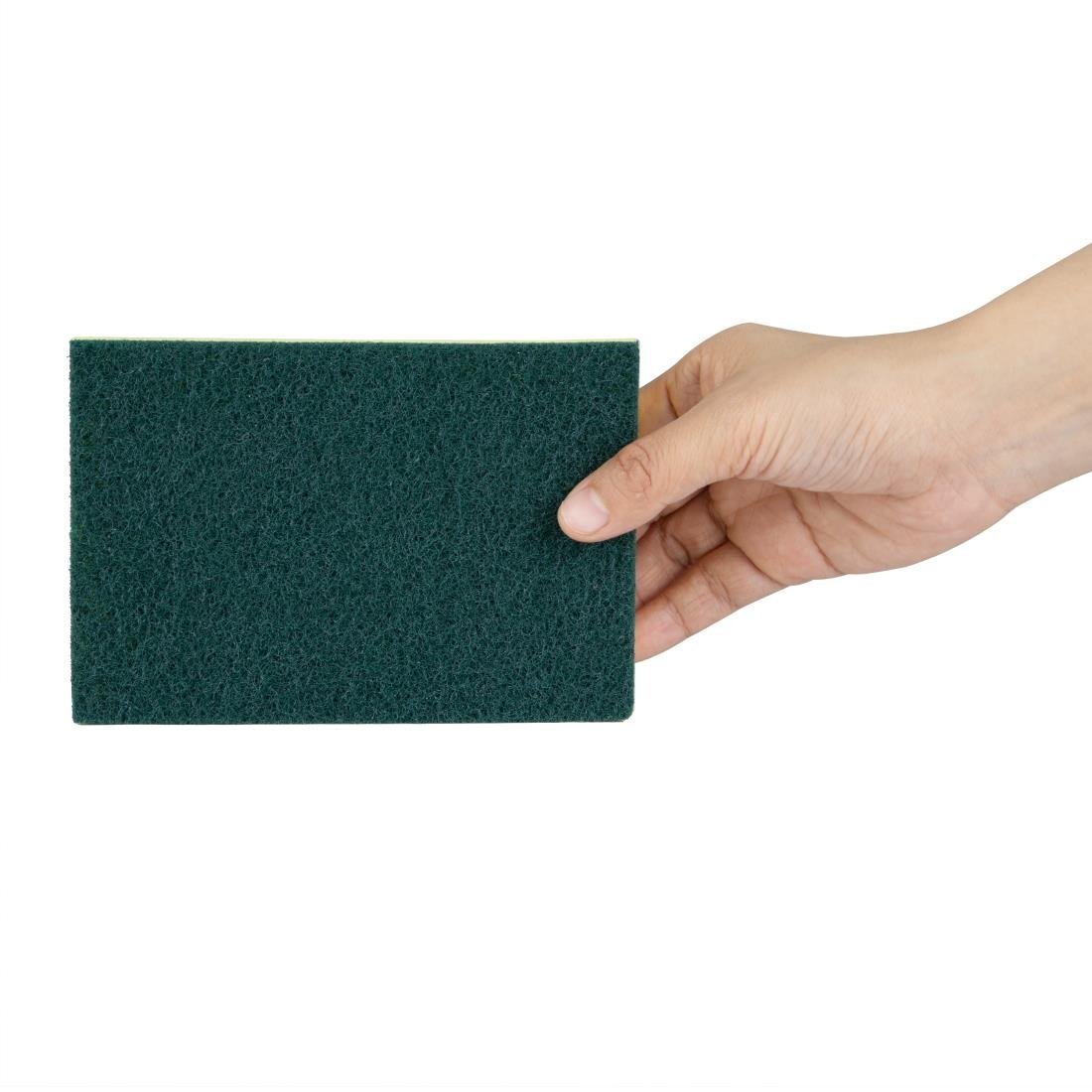 Éponges à récurer Jantex (lot de 10)