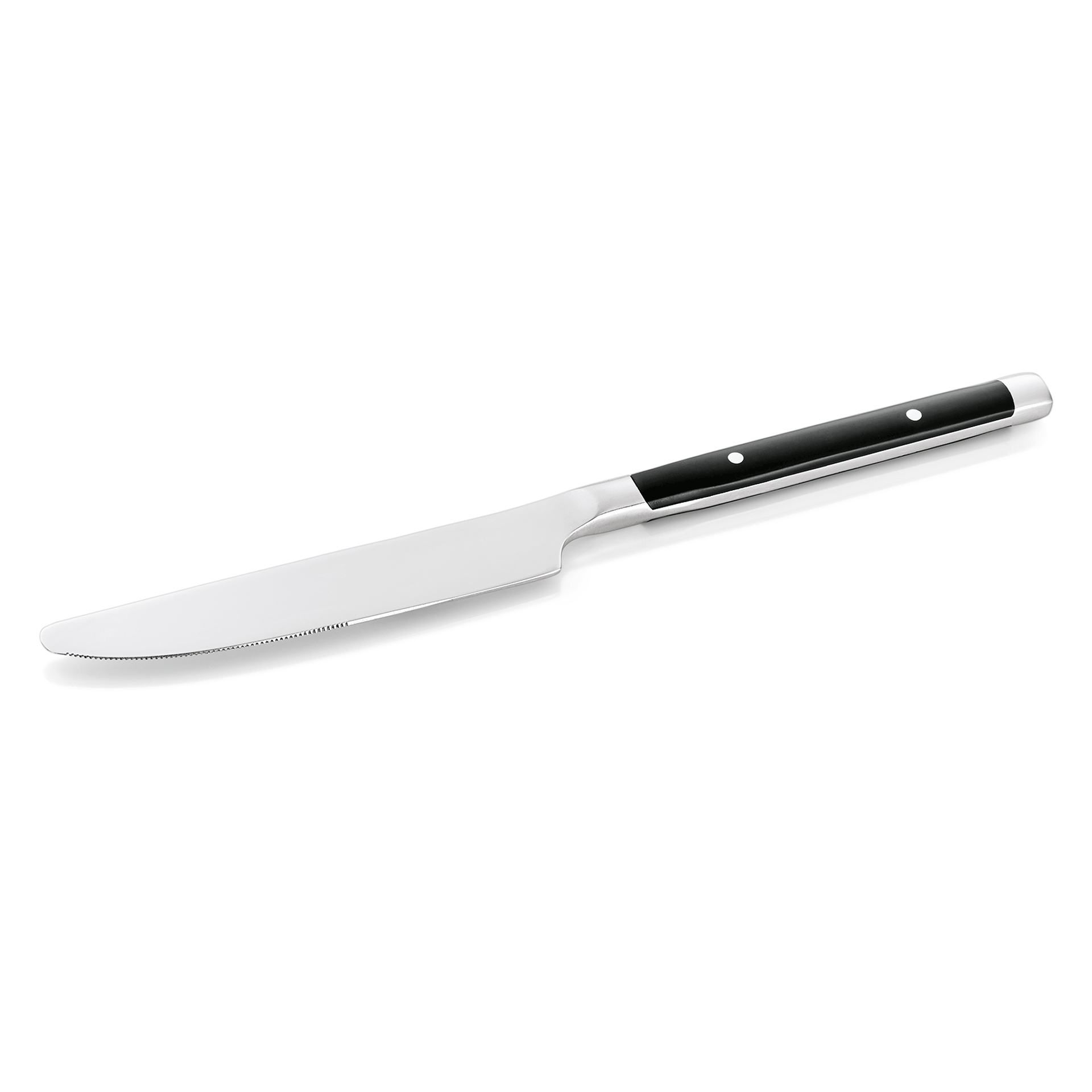Ensemble de couteaux de table BISTRO TREND, 22,5 cm, avec poignée en plastique, 12 pièces, acier inoxydable 13/0