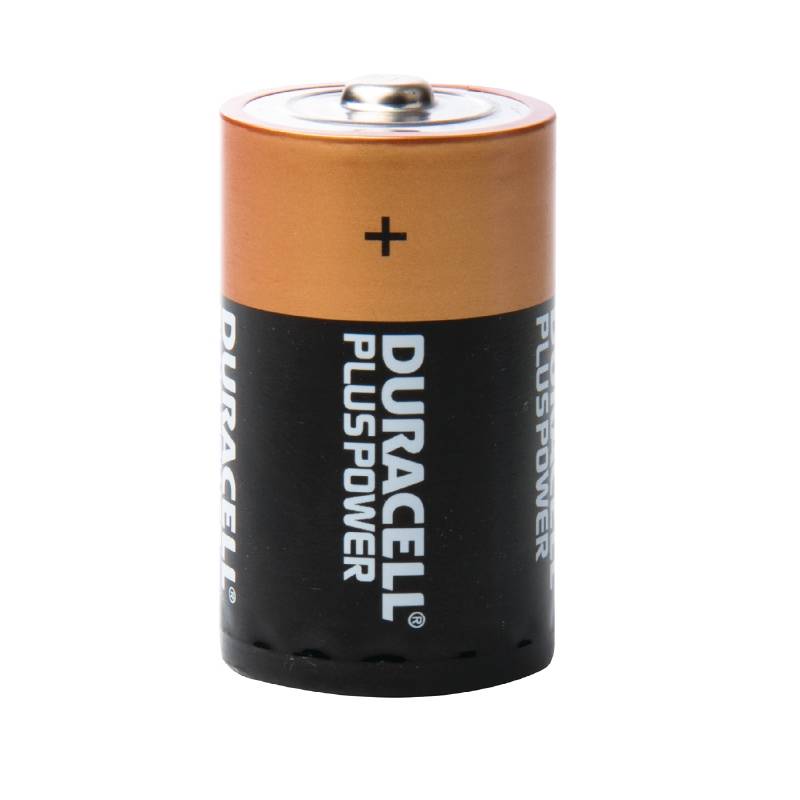 Duracell D Batterien | 2er Pack
