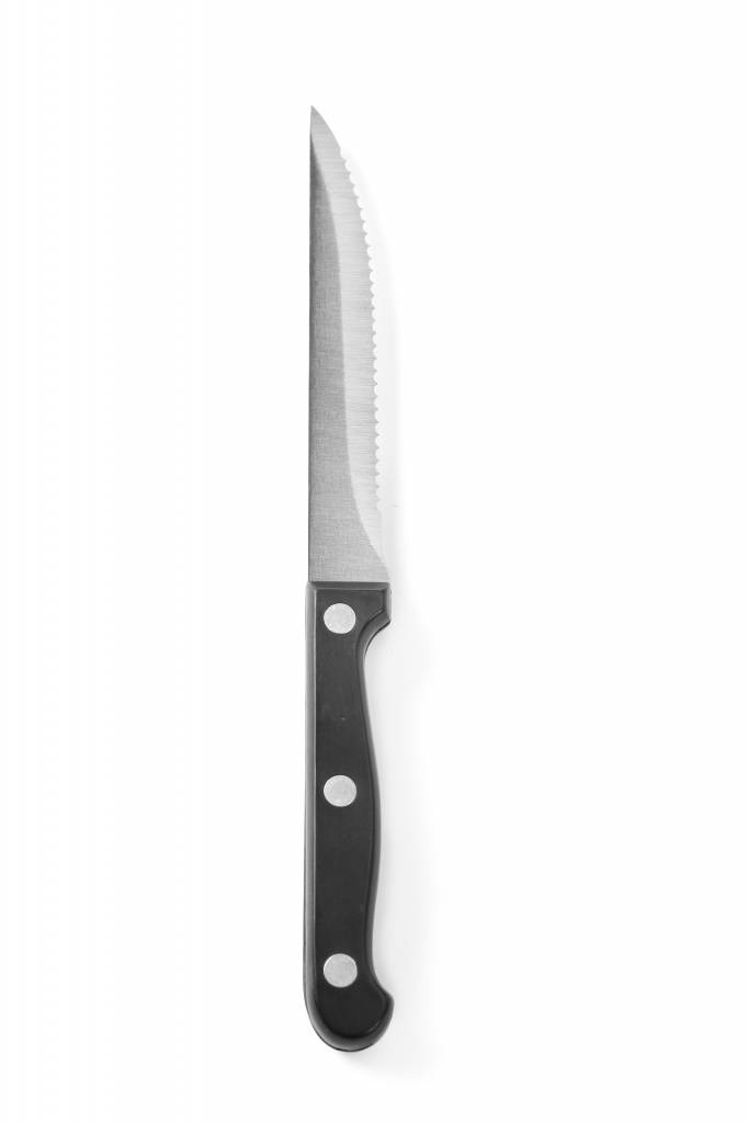 Steakmesser XL ABS Griff 250mm | 6 Stück