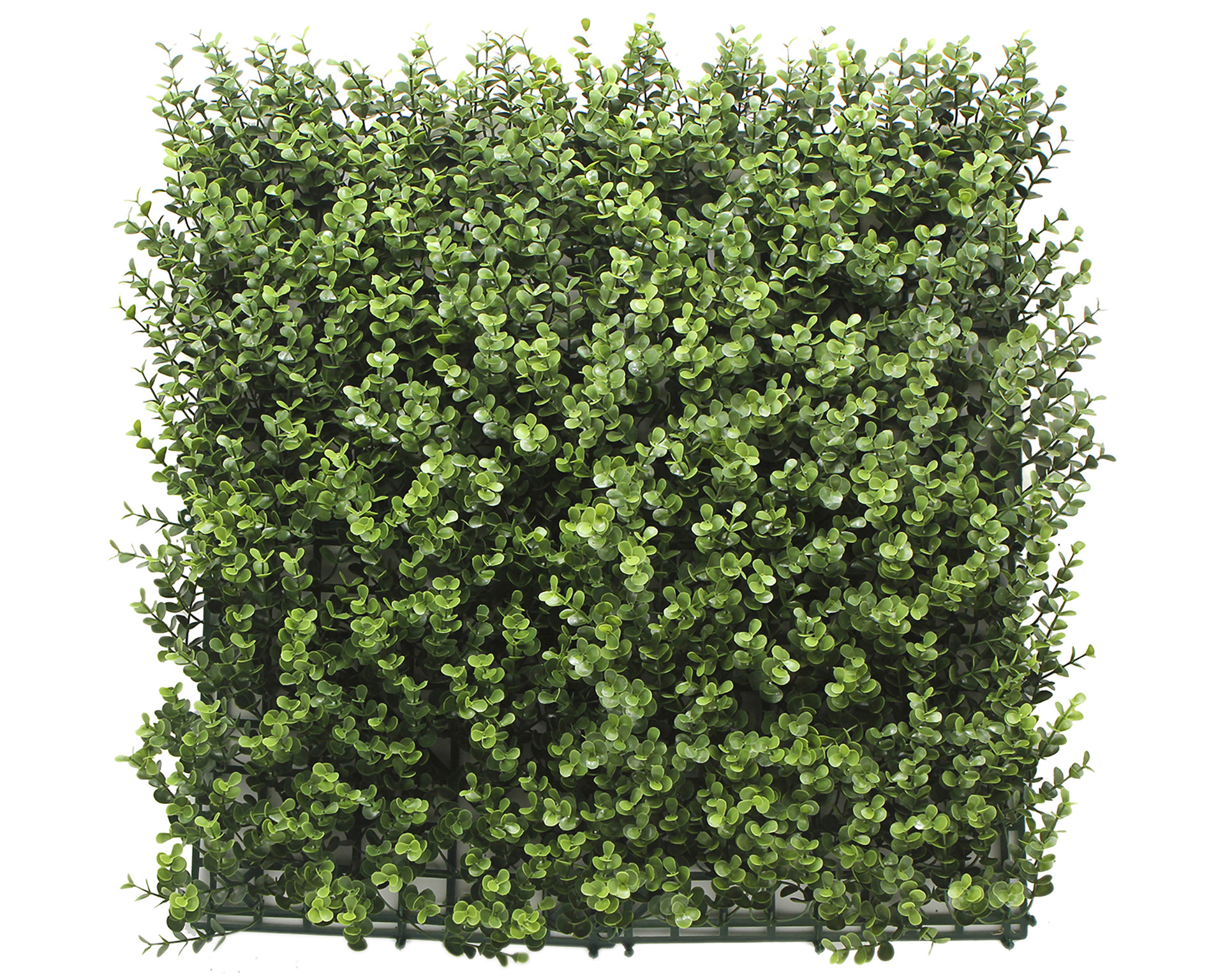 Kunsthaag Dark Buxus - 50x50cm - Geschikt voor Binnen & Buiten