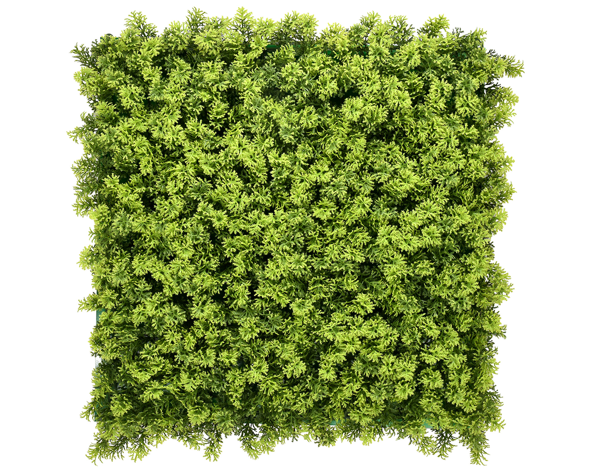 Kunsthaag Long Moss - 50x50cm - Geschikt voor Binnen & Buiten