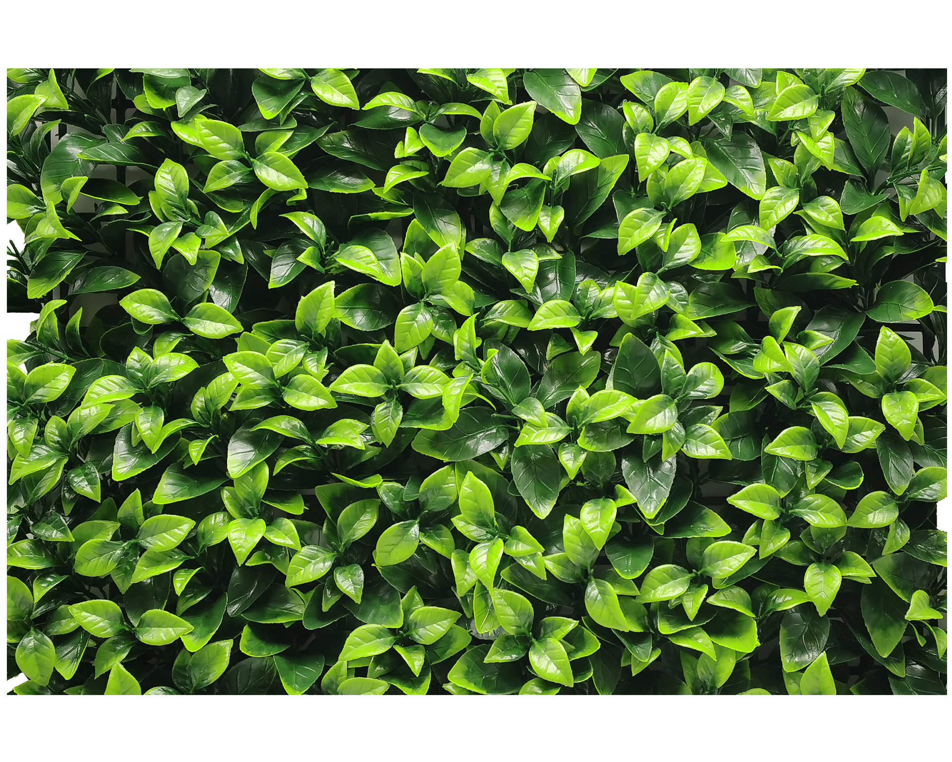 Mur végétal artificiel Vert Clair - 100x100cm - Décoration intérieure ou extérieure