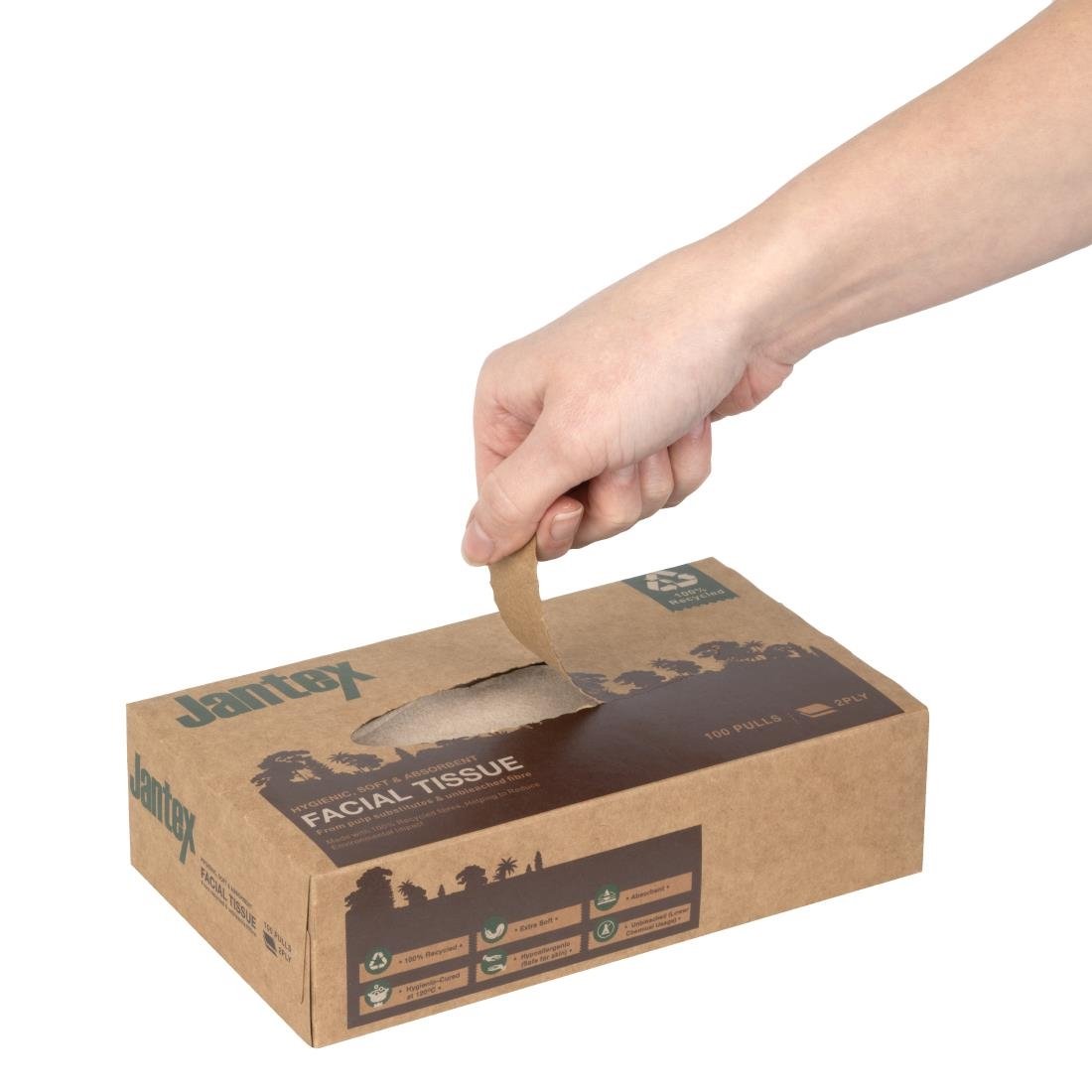 Jantex Green 100% Recycelte Gesichtstücher 100 Blatt (36 Stück)