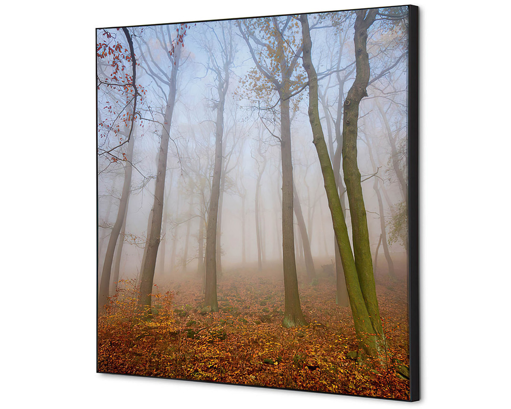 Wanddekoration Herbstnebel - 400x400mm