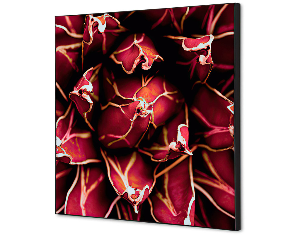 Décoration murale cactus rouge - 400x400mm