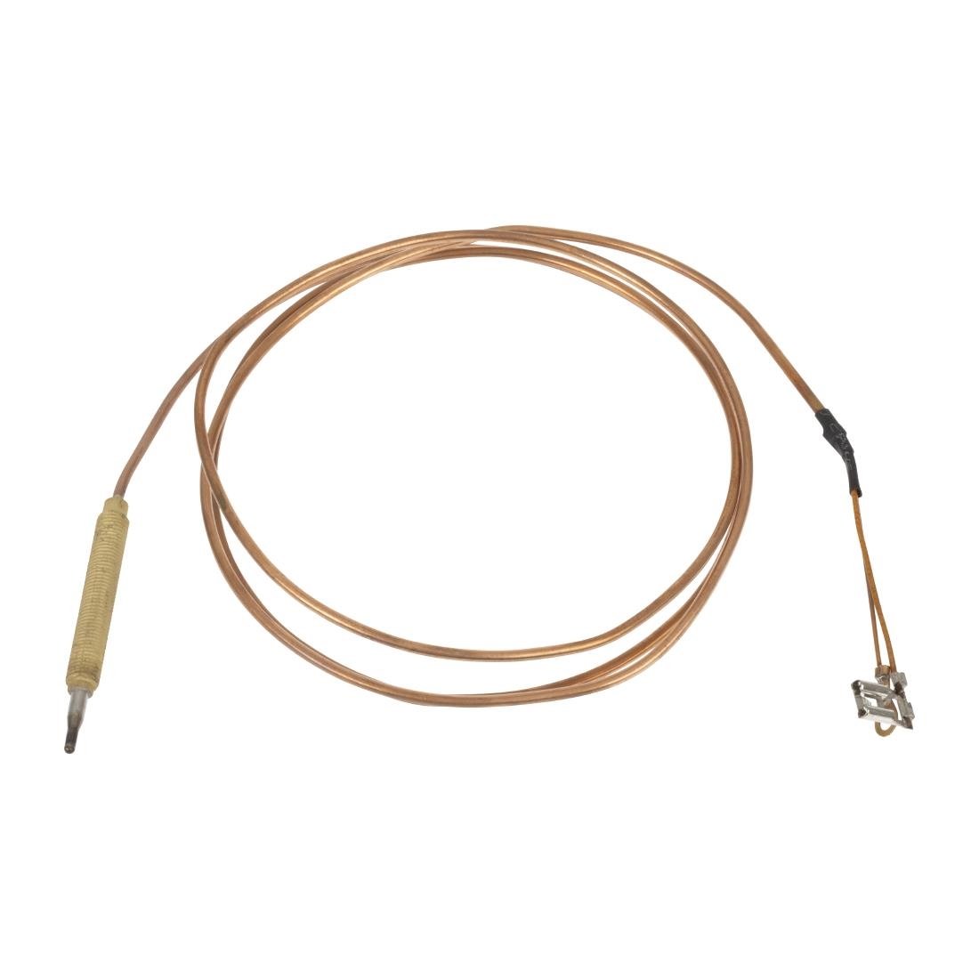 Thermocouple de four Buffalo