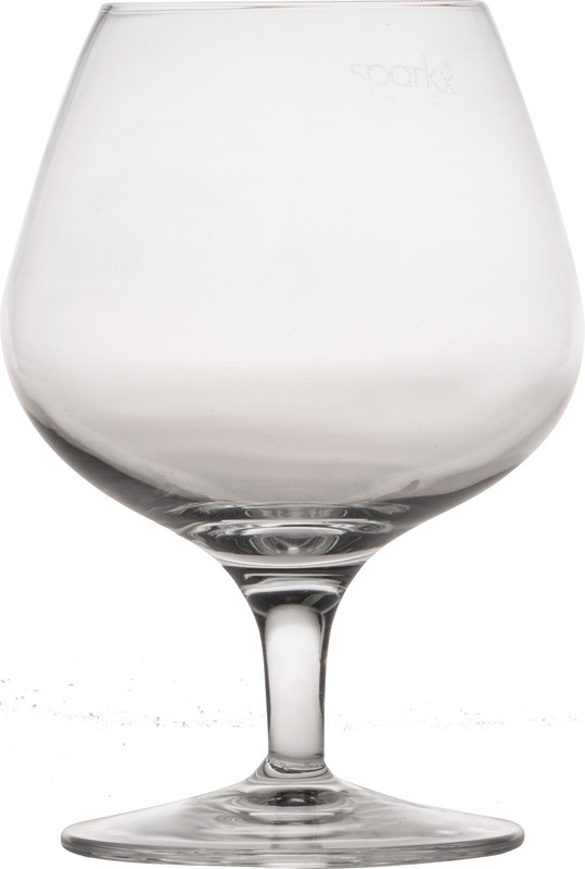 Cognacglas Michelangelo Master 39.5 cl