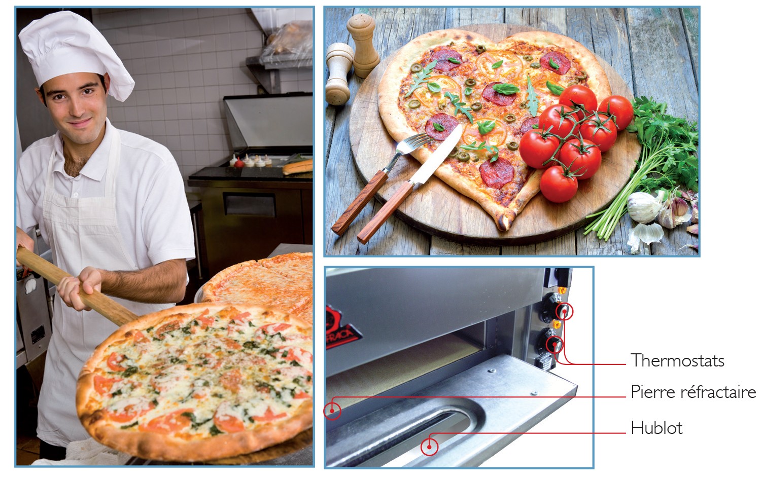 Four à pizza électrique - P50-I - 1 chambre -  230 V - 18514