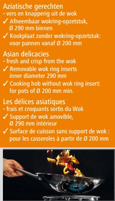 Cuisinière à Wok Inox - 1 Brûleur - 11,5kW - 400x600x415(h)mm