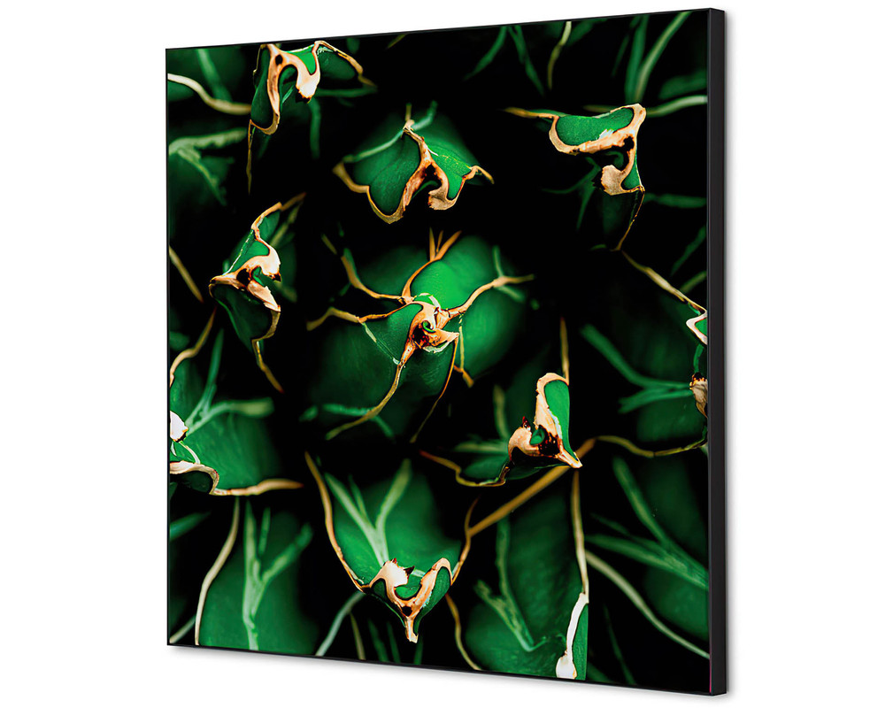 Wanddecoratie cactus groen - 400x400mm