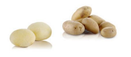 Eplucheuse pommes de terre sur pied 10 kg | 300 kg à l'heure