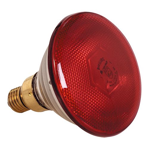 Warmtelamp Rood | 175W | Infrarood