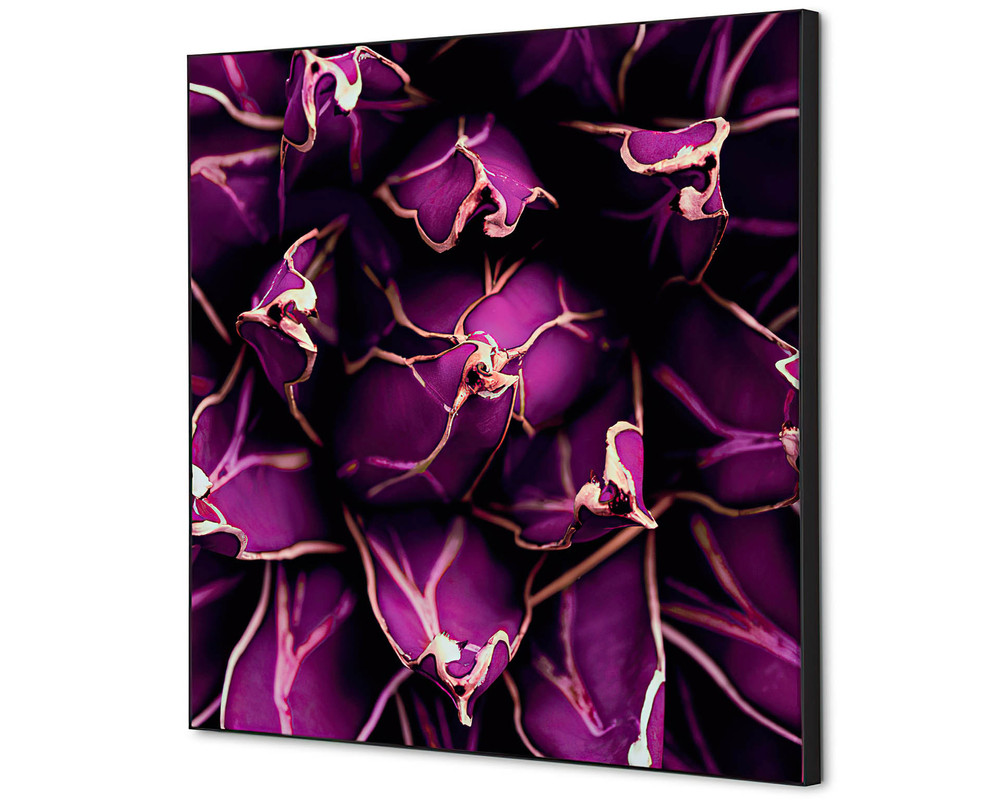 Décoration murale cactus violet - 400x400mm