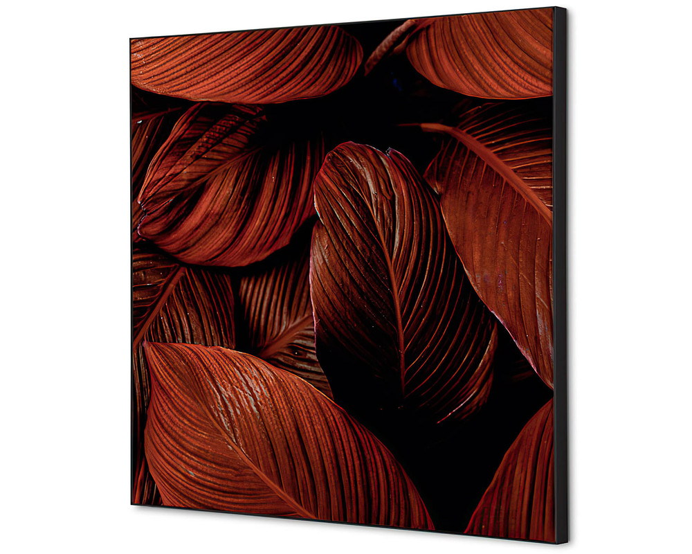 Wanddecoratie botanische bladeren rood - 400x400mm