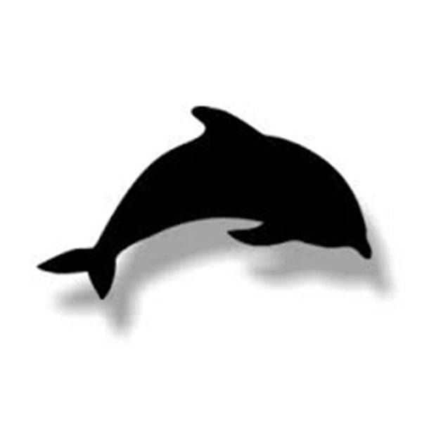 Silhouet Wandkrijtbord Dolfijn Incl. Krijtstift