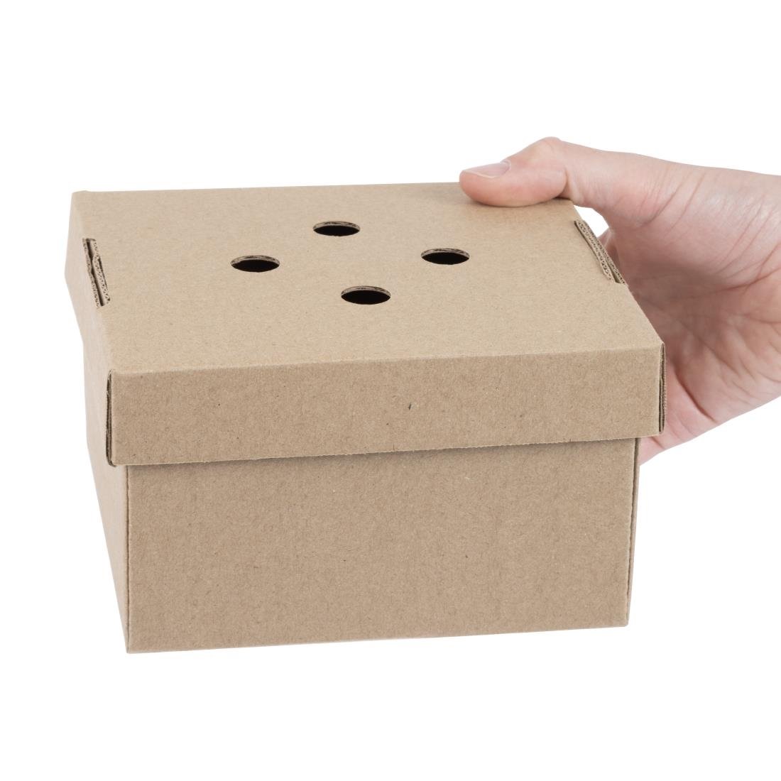 Fiesta Composteerbare Uitklapbare Hamburgerdozen (100 Stuks)