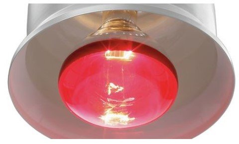 Infrarood Lampje Philips | 250W