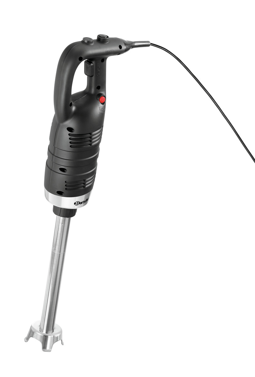 Set de mixeur plongeant 1000