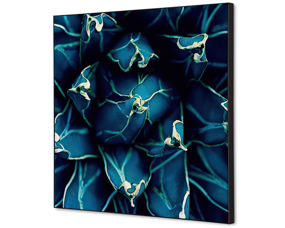 Décoration murale cactus bleu - 400x400mm