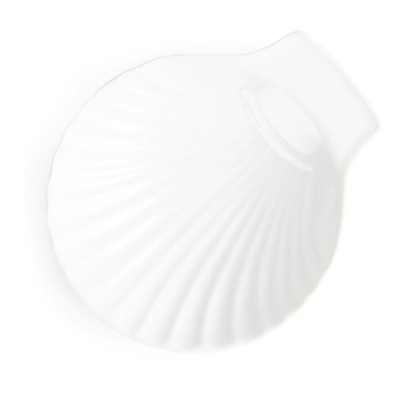 Coquille Blanche Olympia - 130mm - 6 Pièces