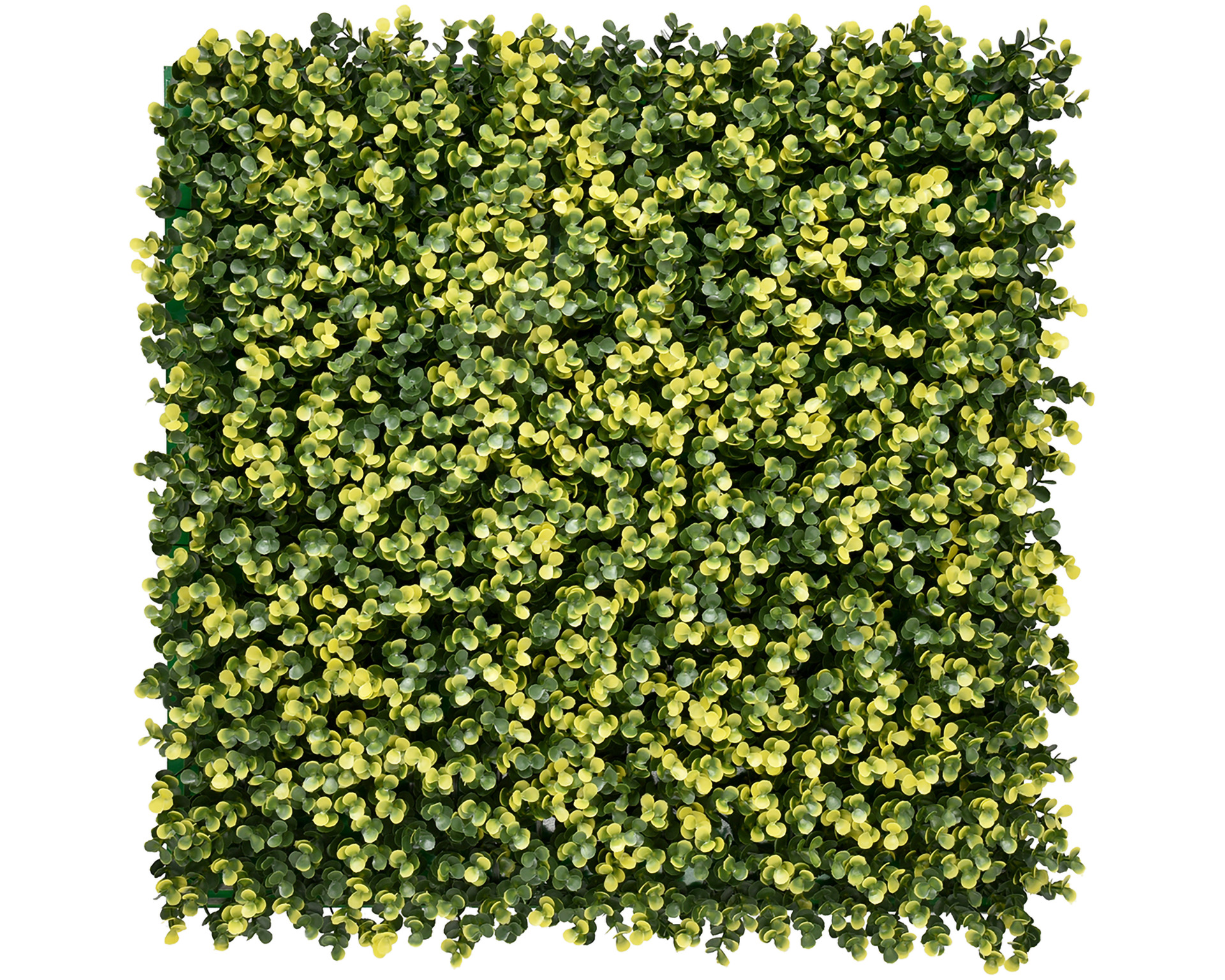 Kunsthaag Light Buxus - 50x50cm - Geschikt voor Binnen & Buiten