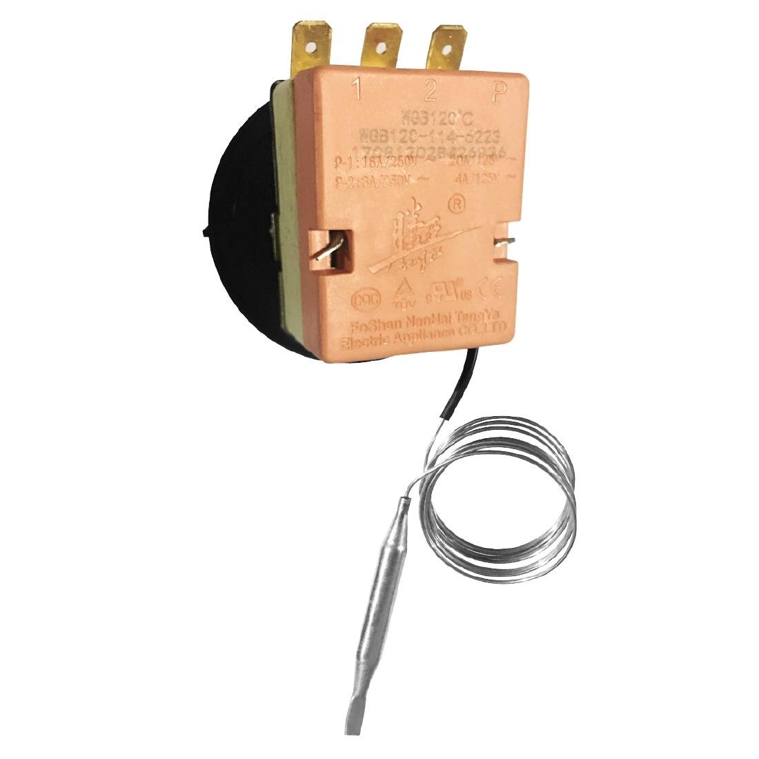 Thermostat Buffalo