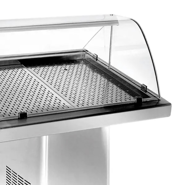 Gekühlte Fisch Vitrine 1.0
