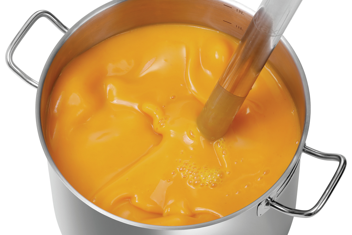 Set de mixeur plongeant 1000