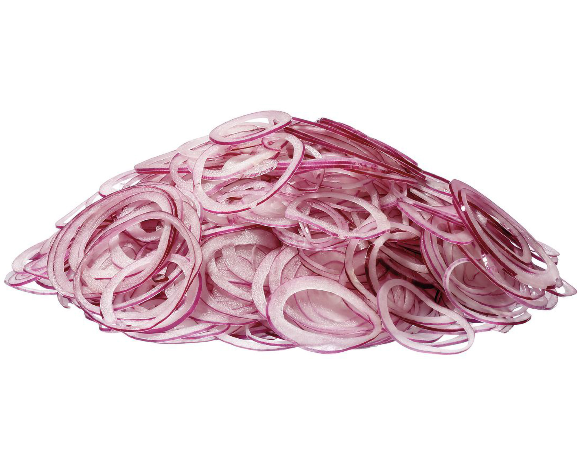 Cutting disc for slices DF1