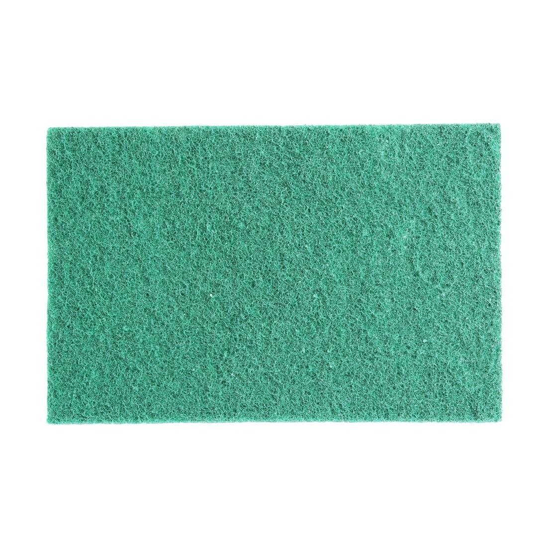 Jantex Groene Volledig Gerecyclede Schuursponsjes 9X6" (Pakket Van 10)