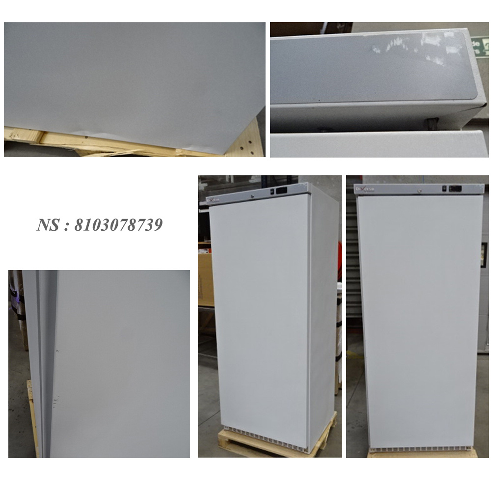 Statische diepvrieskast GN 2/1, 600 liter. R.V.S.