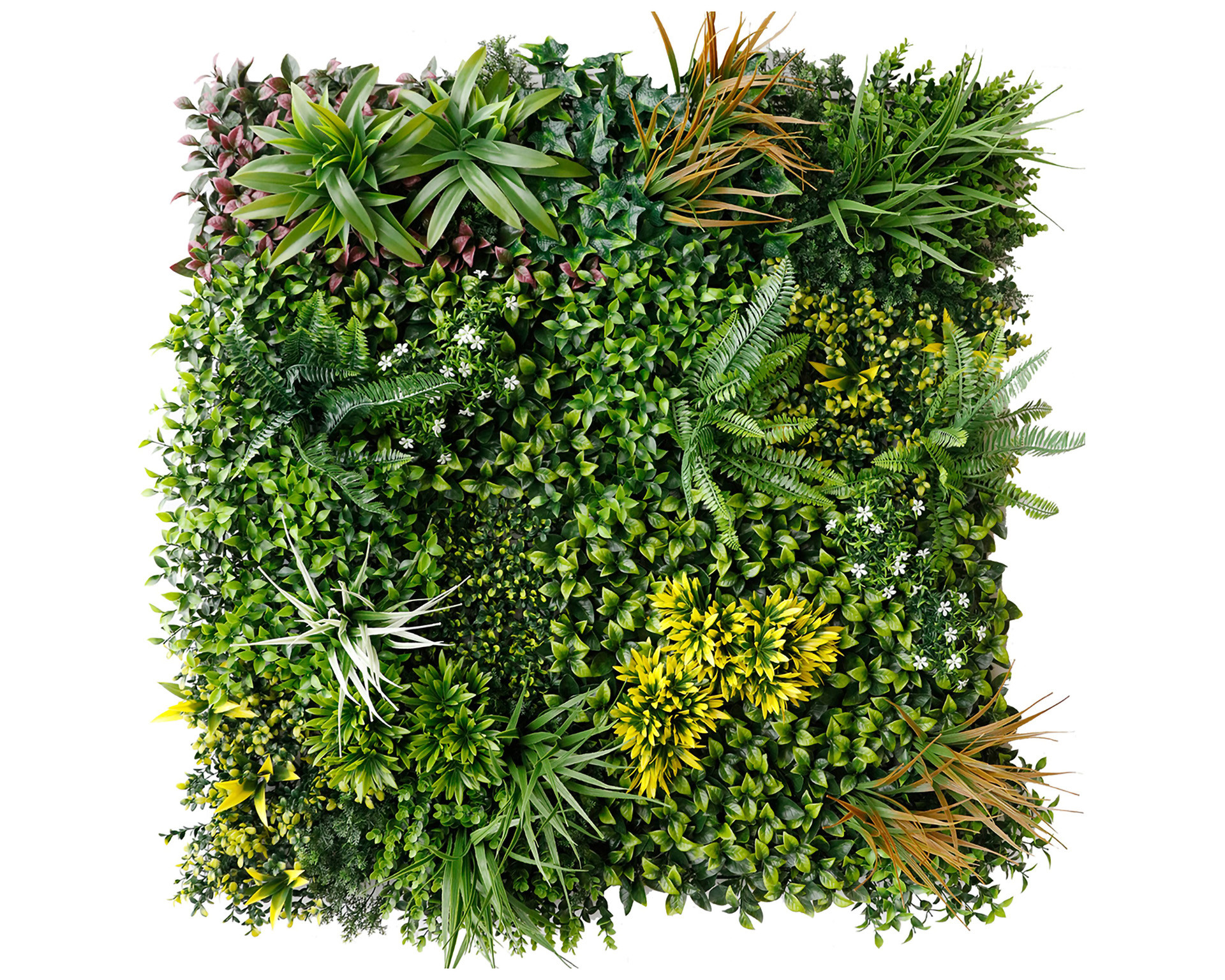 Kunsthecke mit verschiedenfarbigen Blattpflanzen und Farnen